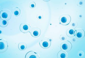 ヒト幹細胞培養上清液配合化粧品